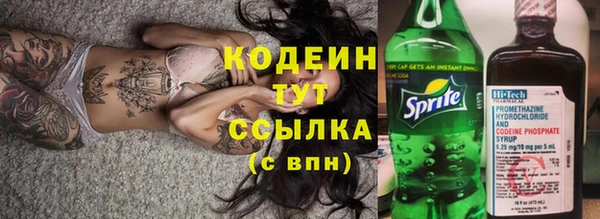крисы Армянск