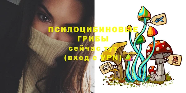 винт Аркадак