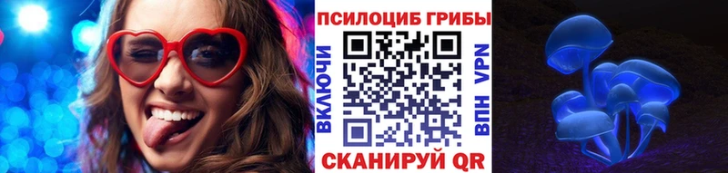 Псилоцибиновые грибы прущие грибы Купить Судогда